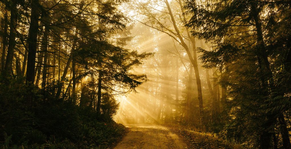 justin allen prophetic word - photo of light on a path